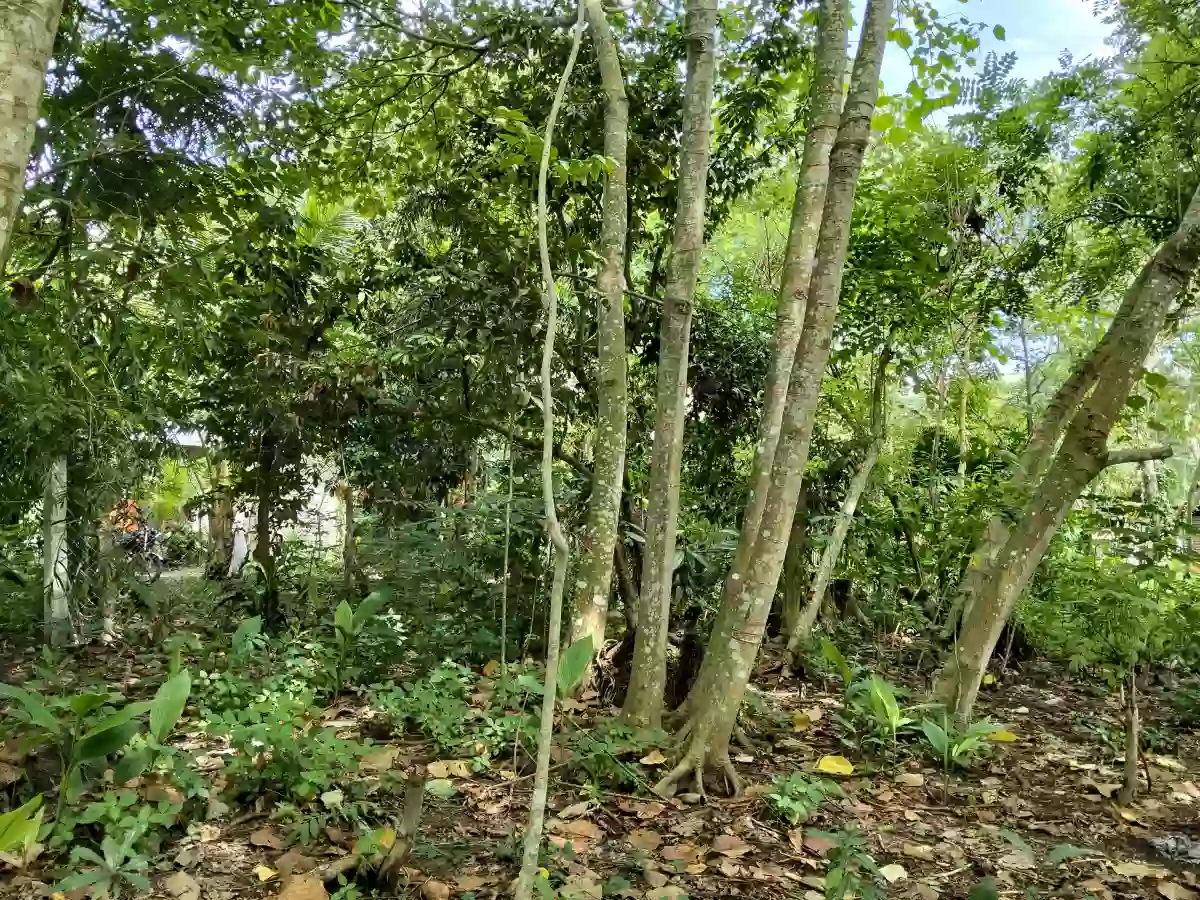 LOT — Residential Lot in Koronadal City, South Cotabato, Philippines — Photo 3