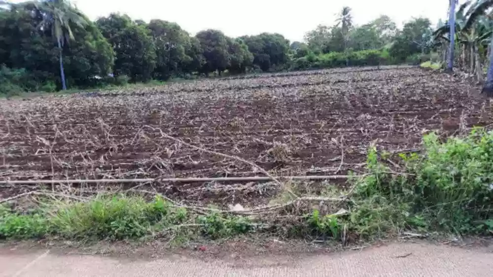 LOT FOR SALE IN SAN REMIGIO,CEBU — Residential Lot in Philippines — Photo 2
