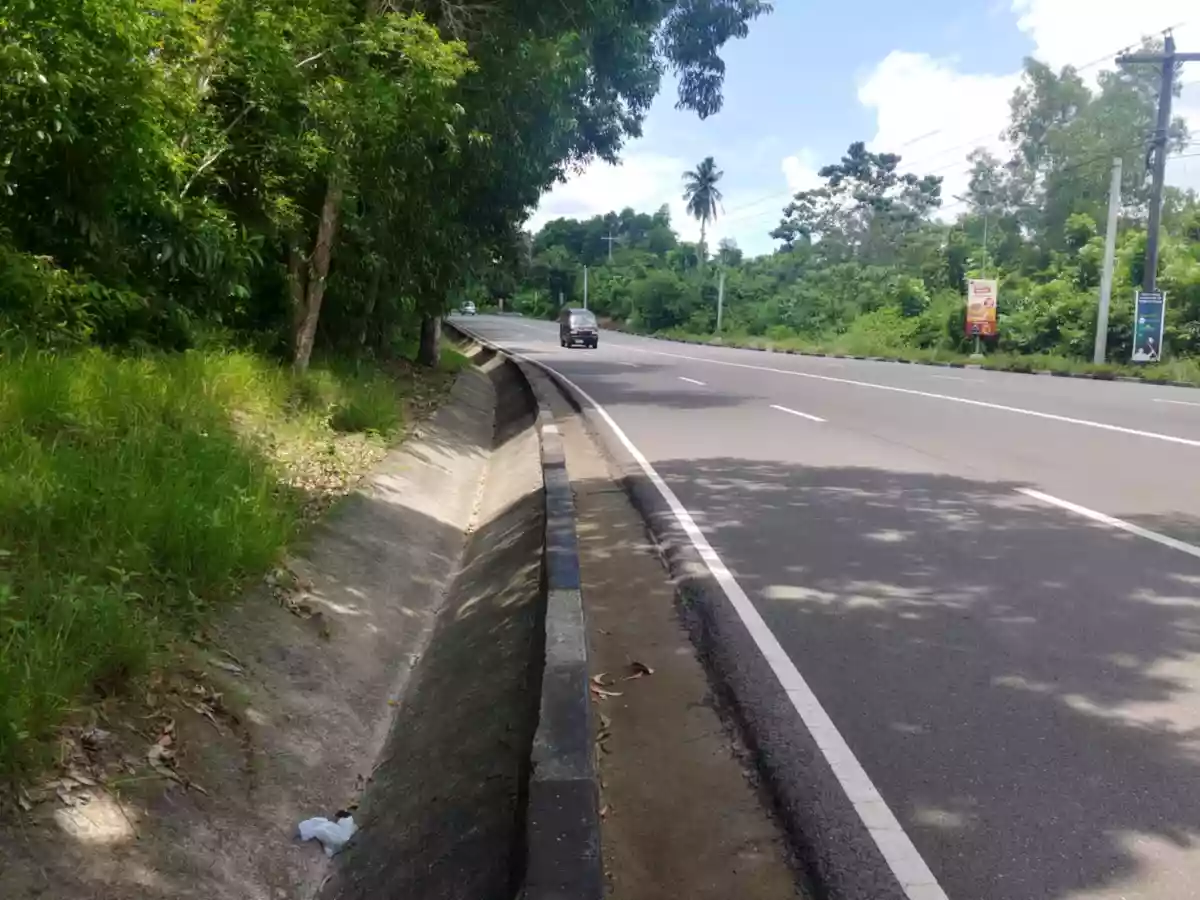 Land for Sale — Agricultural Lot in Guimaras, Philippines — Photo 2