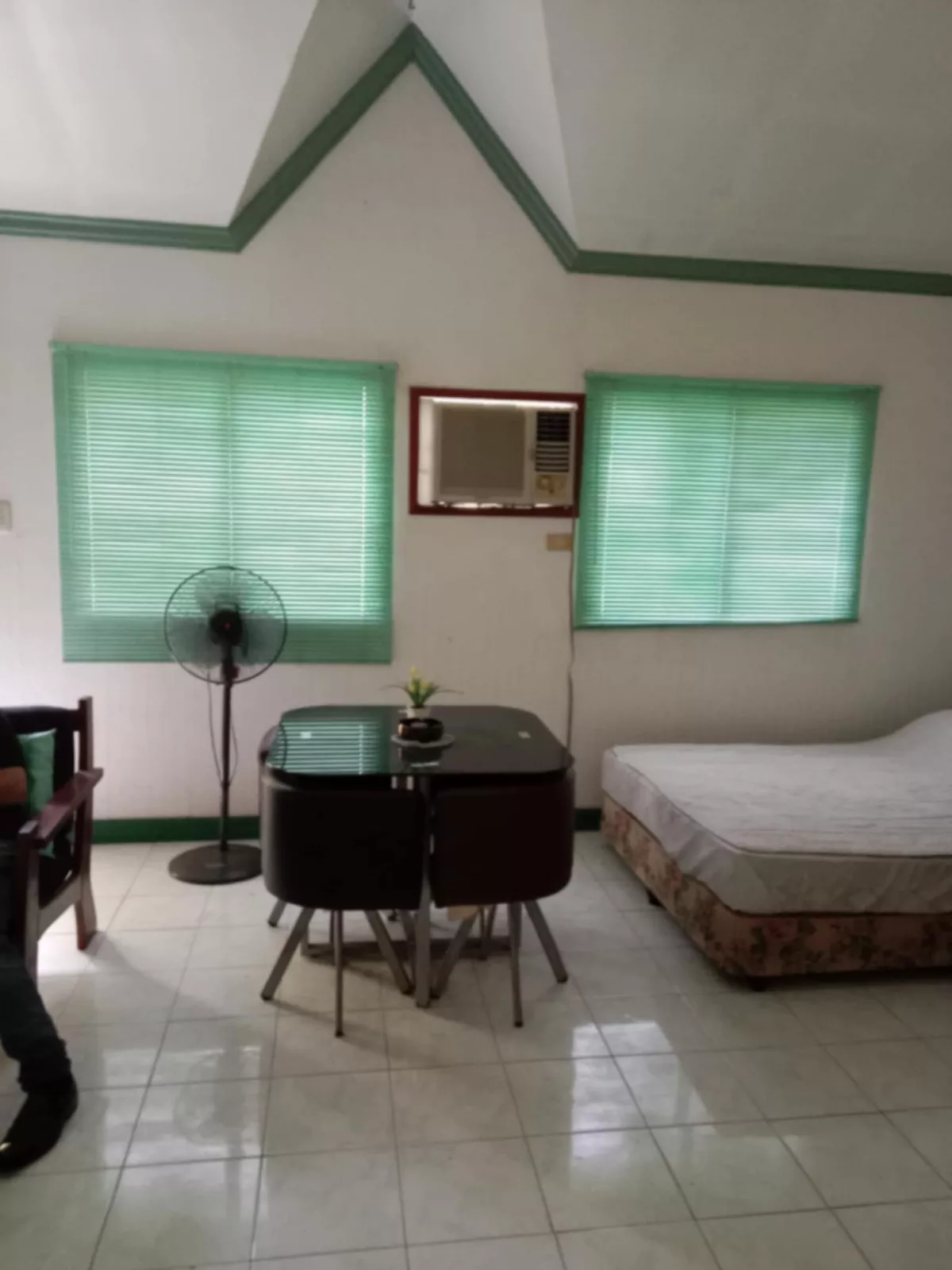 Estanzia Subd. House Lot for Sale — House and Lot in Bacolod, Negros Occidental, Philippines — Photo 7