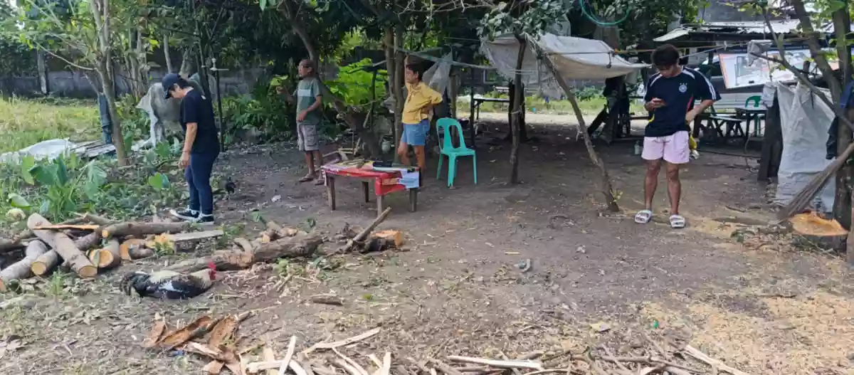 Commercial — Commercial Lot in Philippines — Photo 3