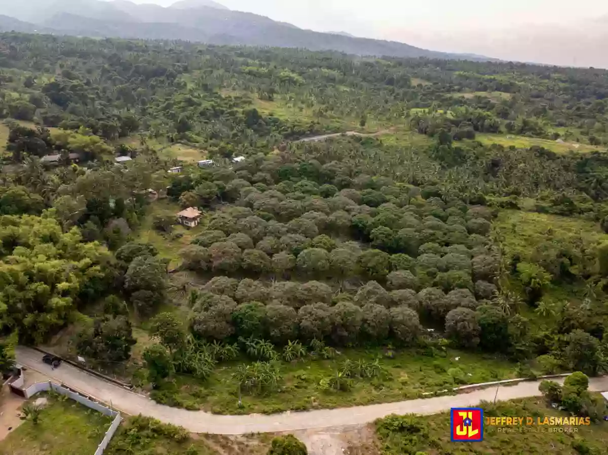P7.5M discount! From P32.5M to P25M! 22,538sqm Mango Farm Rush Sale House in Balili, Valencia [available]