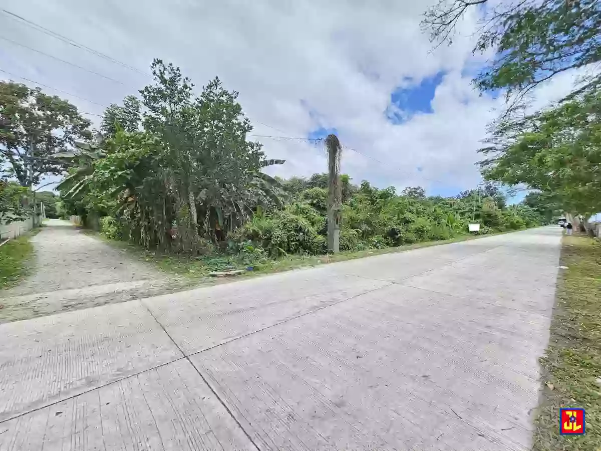 Rush Sale! Amazing Commercial Lot beside Airport Agan-an, Sibulan [available] — Commercial Lot in Negros Oriental, Philippines — Photo 2