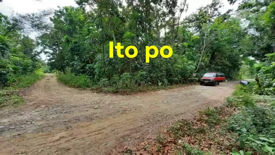 PALAWAN PUERTO PRINCESA CITY, BGY. MANGINGISDA — Residential Lot in Puerto Princesa, Palawan, Philippines — Photo 5