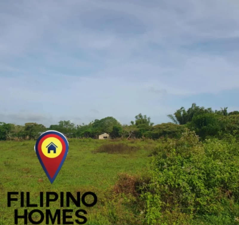 1000sqm RESIDENTIAL LOT FOR SALE — Residential Lot in Naga City, Camarines Sur, Philippines — Photo 2