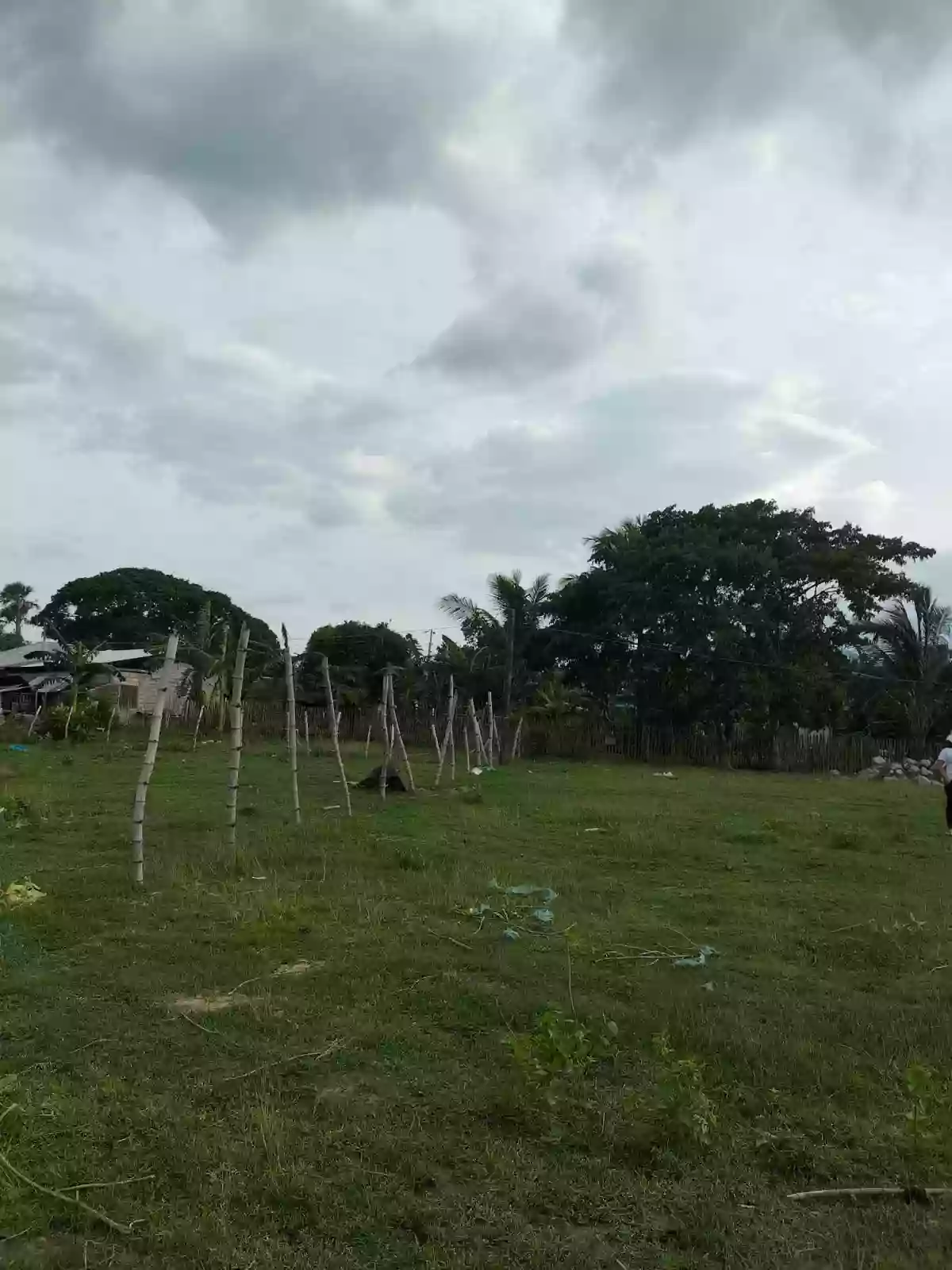 3,585 squaremeters Overlooking Lot Upper Jugno, Amlan Negros Oriental — Agricultural Lot in Amlan, Negros Oriental, Philippines — Photo 4