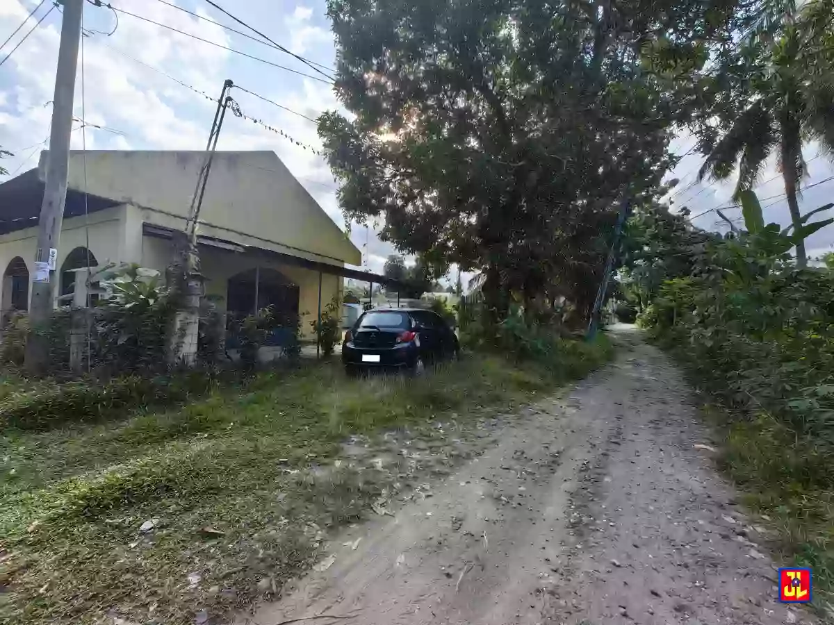 Rush Sale Lot in Batinguel, Dumaguete [available] — Residential Lot in Negros Oriental, Philippines — Photo 4