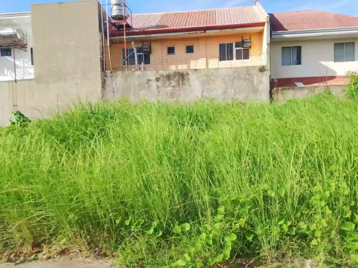 Lots for sale Monterosa Residential Estate, Madurriao Iloilo City!!! — Residential Lot in Mandurriao, Iloilo City, Iloilo — Photo 3