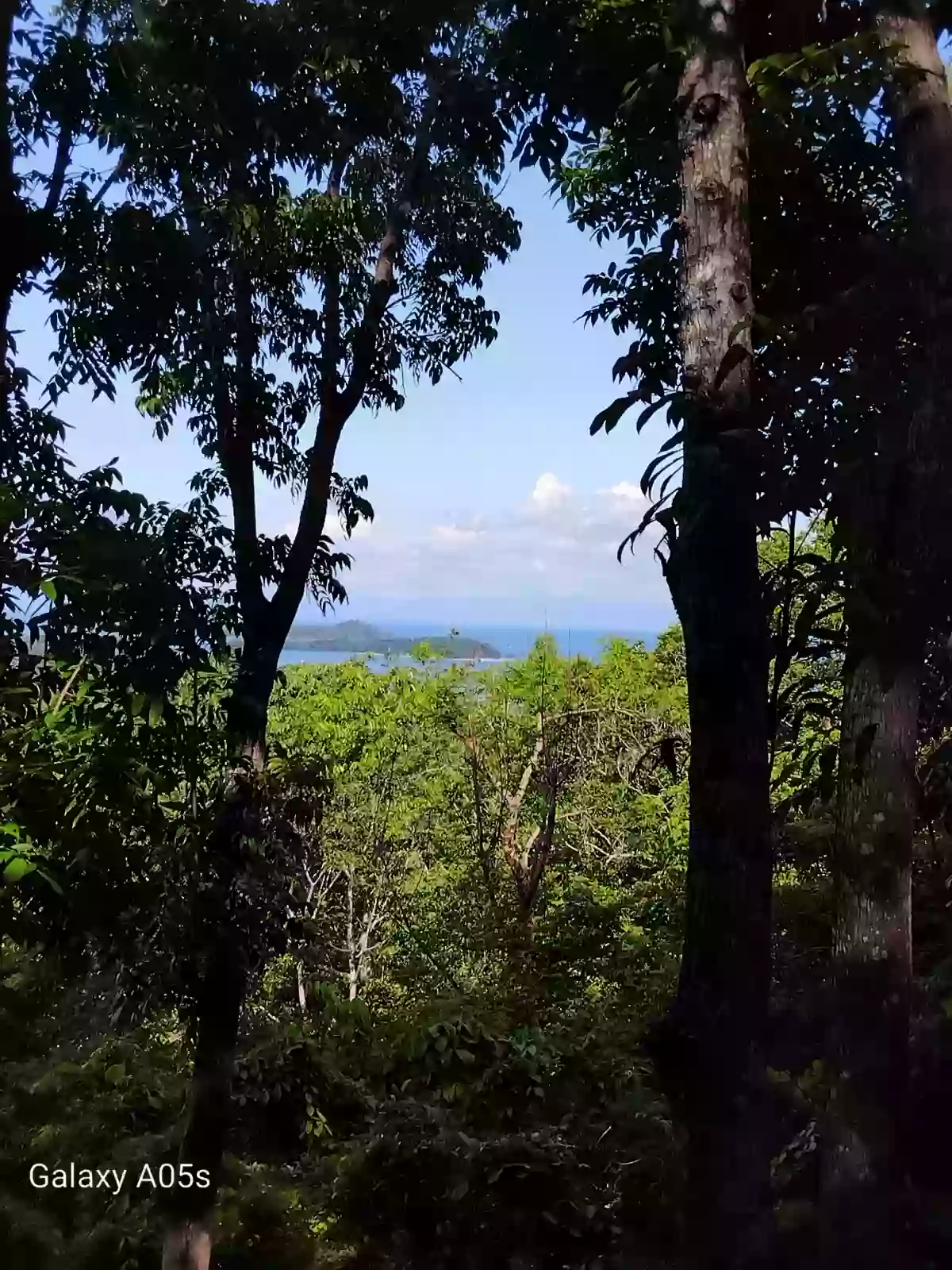 Land for Sale — Agricultural Lot in Guimaras, Philippines — Photo 2