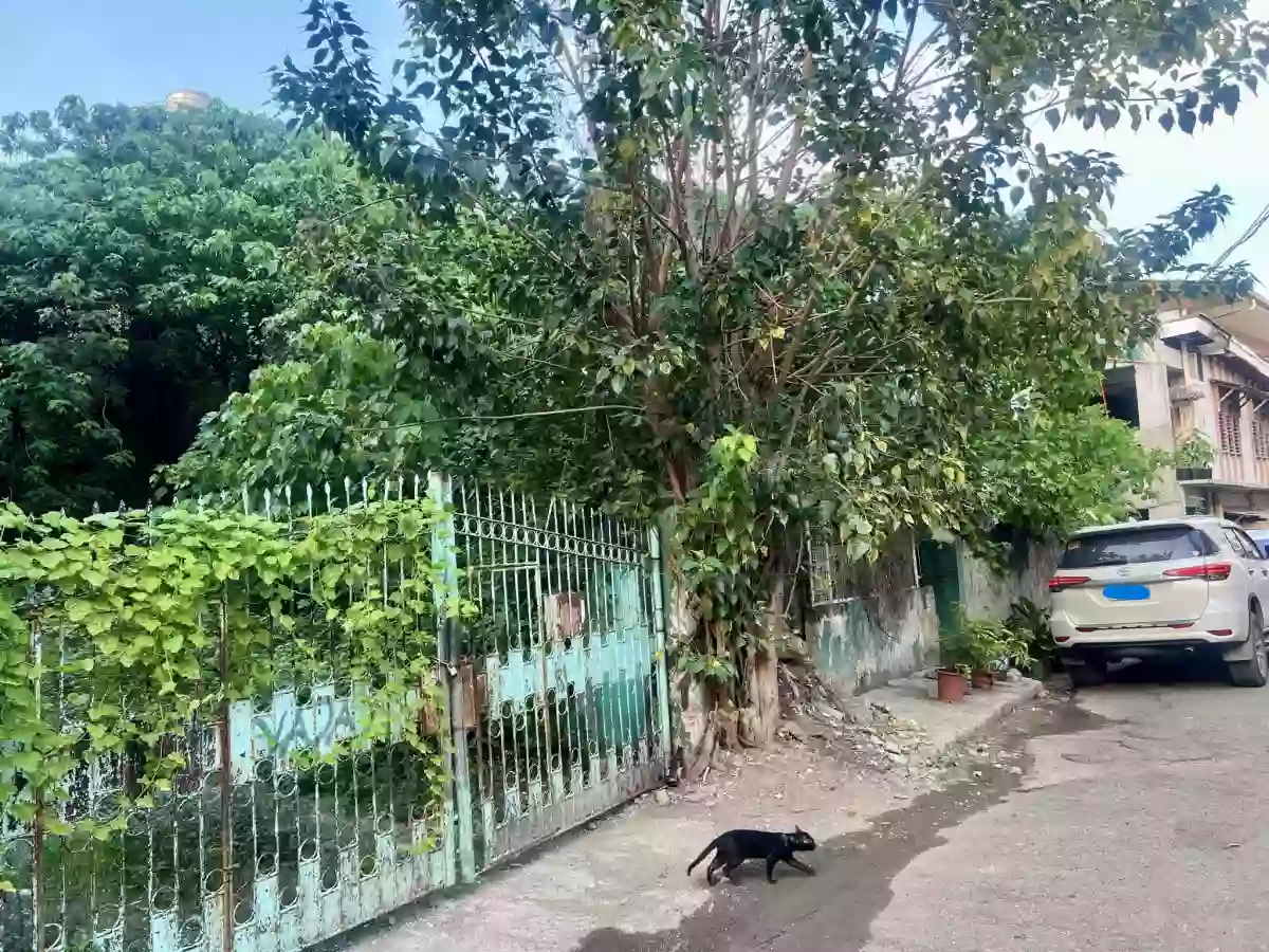 LOT FOR SALE IN URGELLO CEBU CITY — Residential Lot in Cebu City, Cebu, Philippines — Photo 4