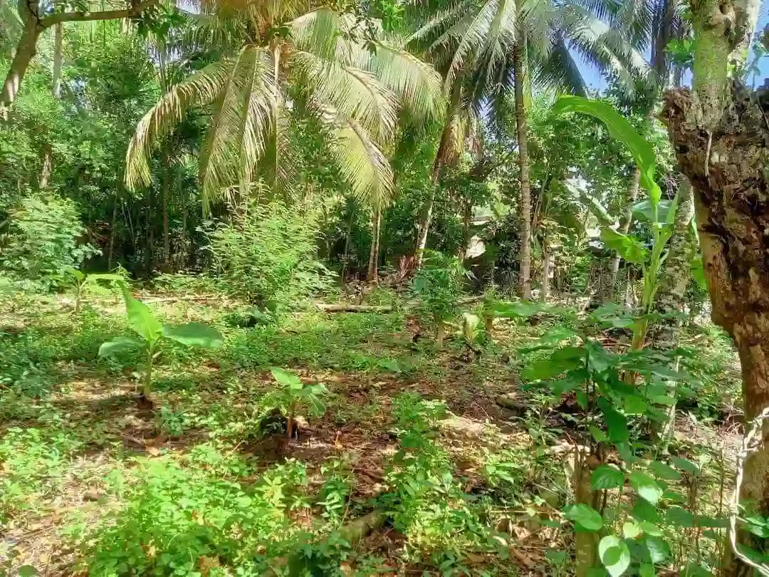 400 sqm Residential Lot for Sale near UST Gensan Campus — Residential Lot in General Santos City (Dadiangas), South Cotabato, Philippines — Photo 2