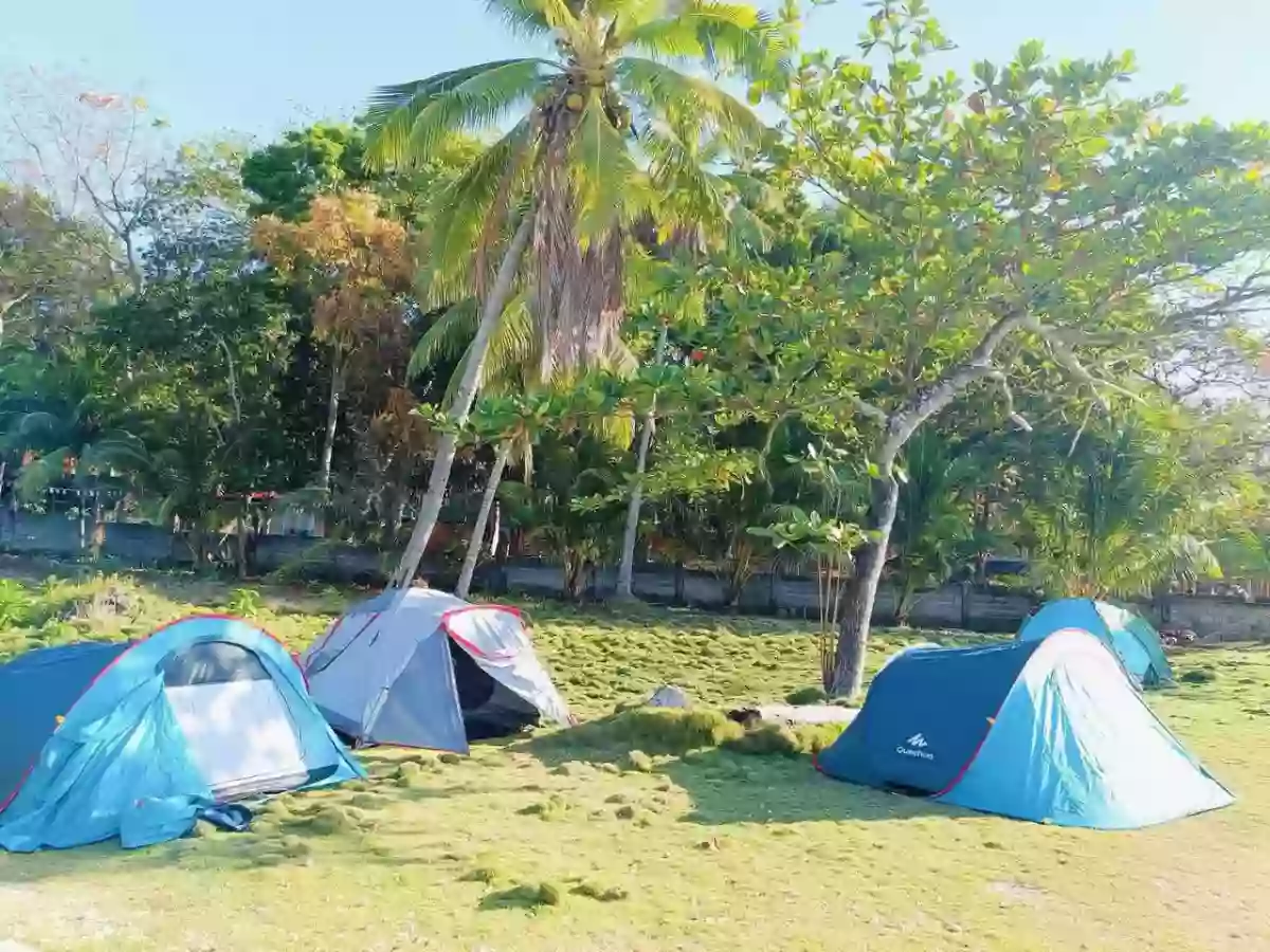 12 Hectare with House and White Sand — Beach Lot in Negros Occidental, Philippines — Photo 5