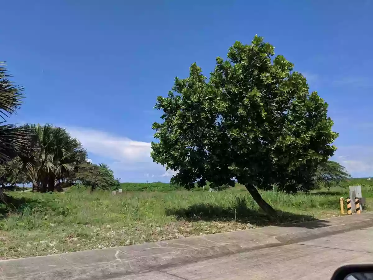 AMARA NORTH LILOAN LOT FOR SALE — Residential Lot in Liloan, Cebu, Philippines — Photo 2
