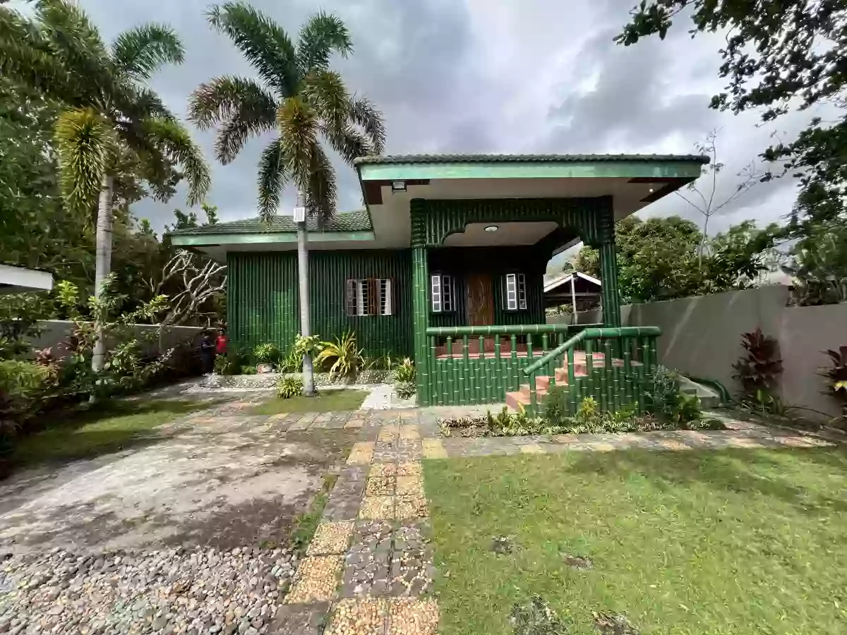 For Sale Beach House in Dauin