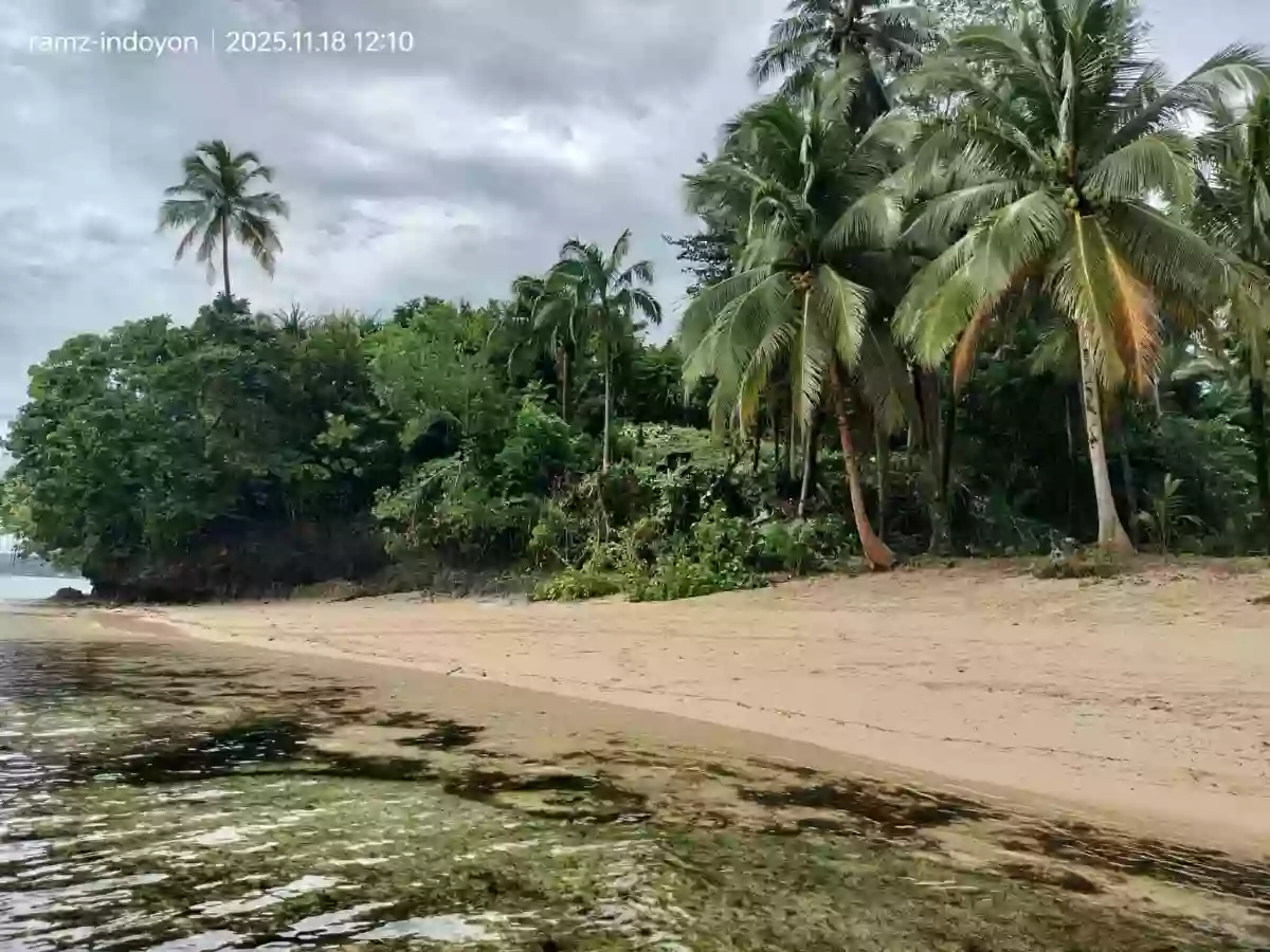 Beach Property in Hinatuan, Surigao. — Beach Lot in Surigao del Sur, Philippines — Photo 2