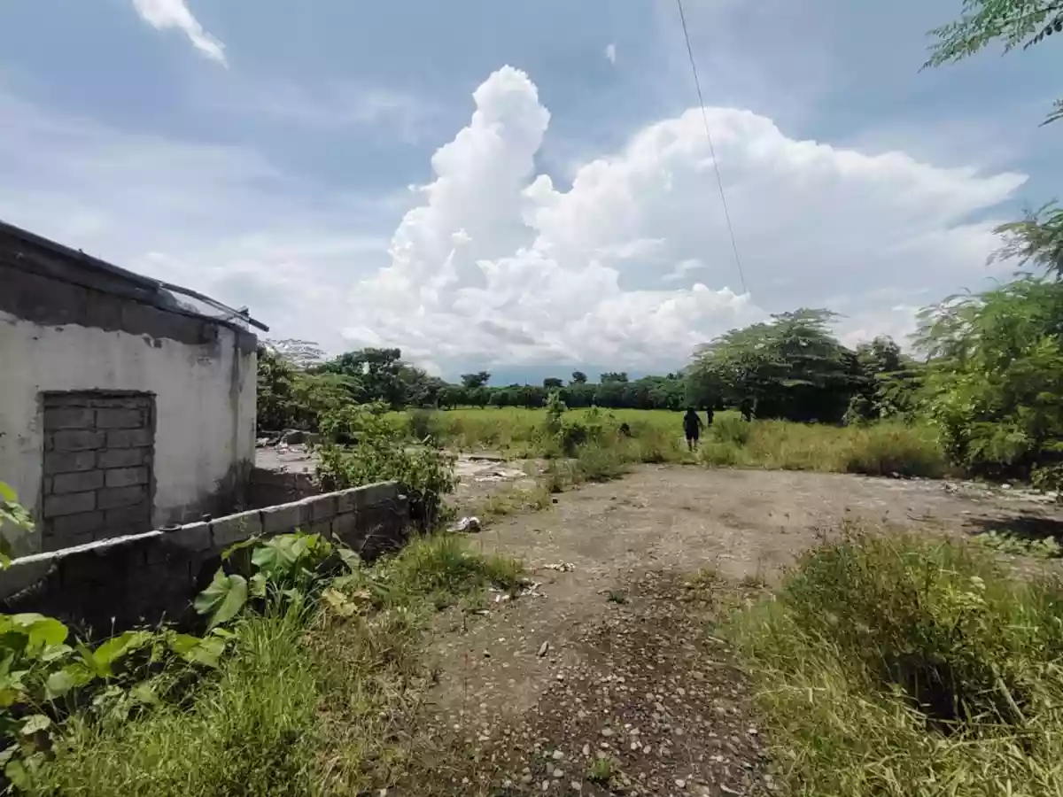 Prime Lot Along National Highway – Tanjay City, Negros Oriental — Residential Lot in Tanjay City, Negros Oriental, Philippines — Photo 3