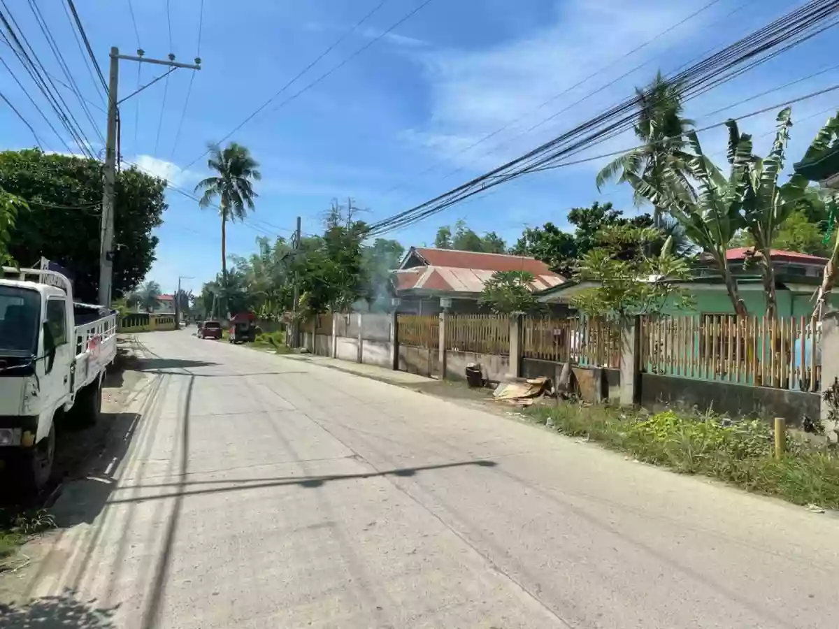 RUSH SALE: Residential / Commercial Property in Tungkil Minglanilla, Cebu — Agricultural Lot in Minglanilla, Cebu, Philippines — Photo 3