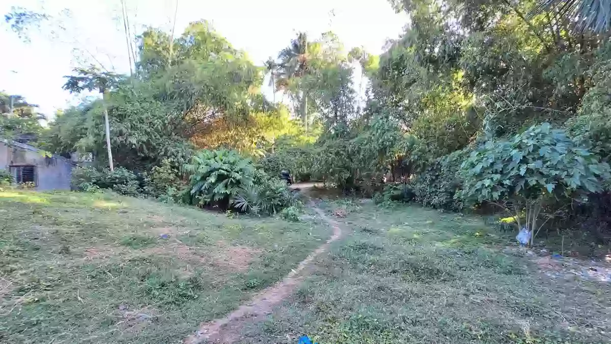 LOT ONLY FOR SALE in Jubay Liloan Cebu — Agricultural Lot in Liloan, Cebu, Philippines — Photo 4