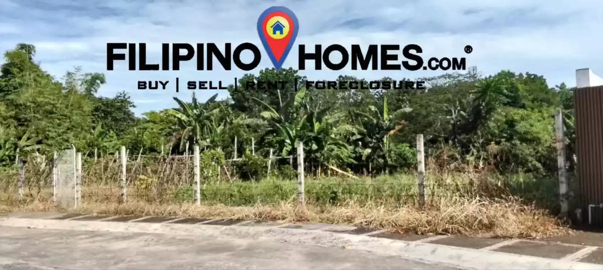 Residential Lot — Residential Lot in Naga City, Camarines Sur, Philippines — Photo 2