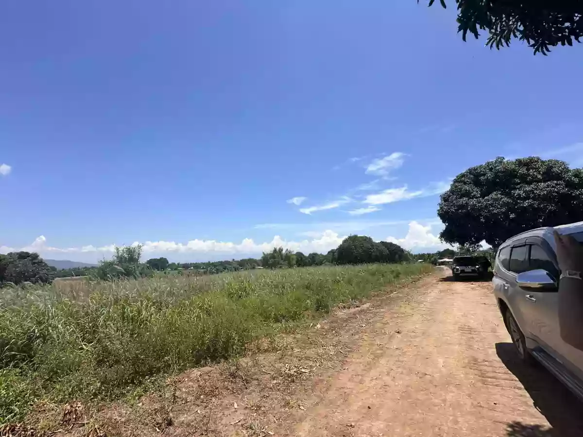 : Prime Agricultural Lot for Sale — Agricultural Lot in South Cotabato, Philippines — Photo 5