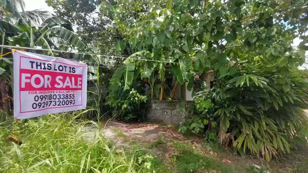 Santa Catalina Homes Lot Only in Bago City near Bago City College
