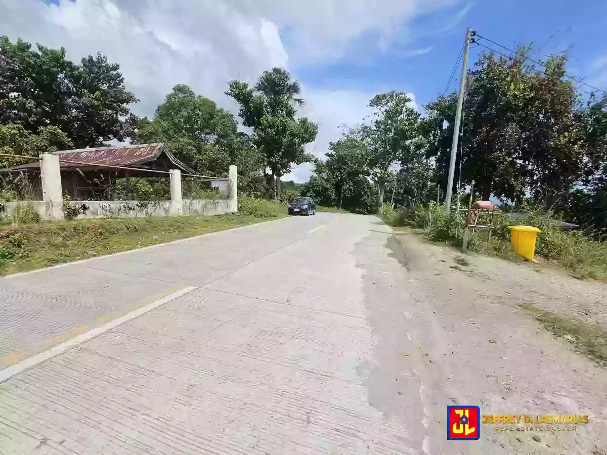 Rush Sale! Amazing Overlooking Lot in Palinpinon, Valencia [available] — Agricultural Lot in Negros Oriental, Philippines — Photo 2