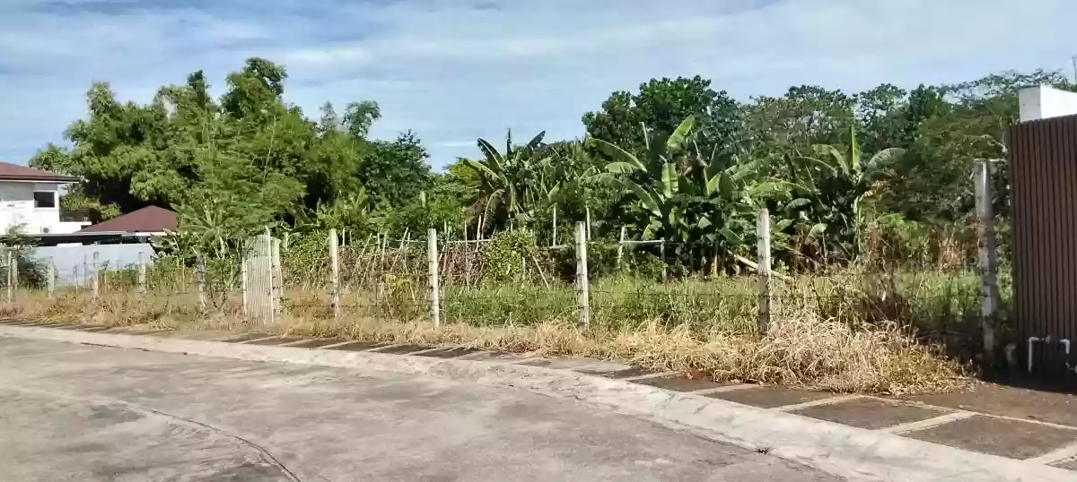 Residential Lot — Residential Lot in Naga City, Camarines Sur, Philippines — Photo 5