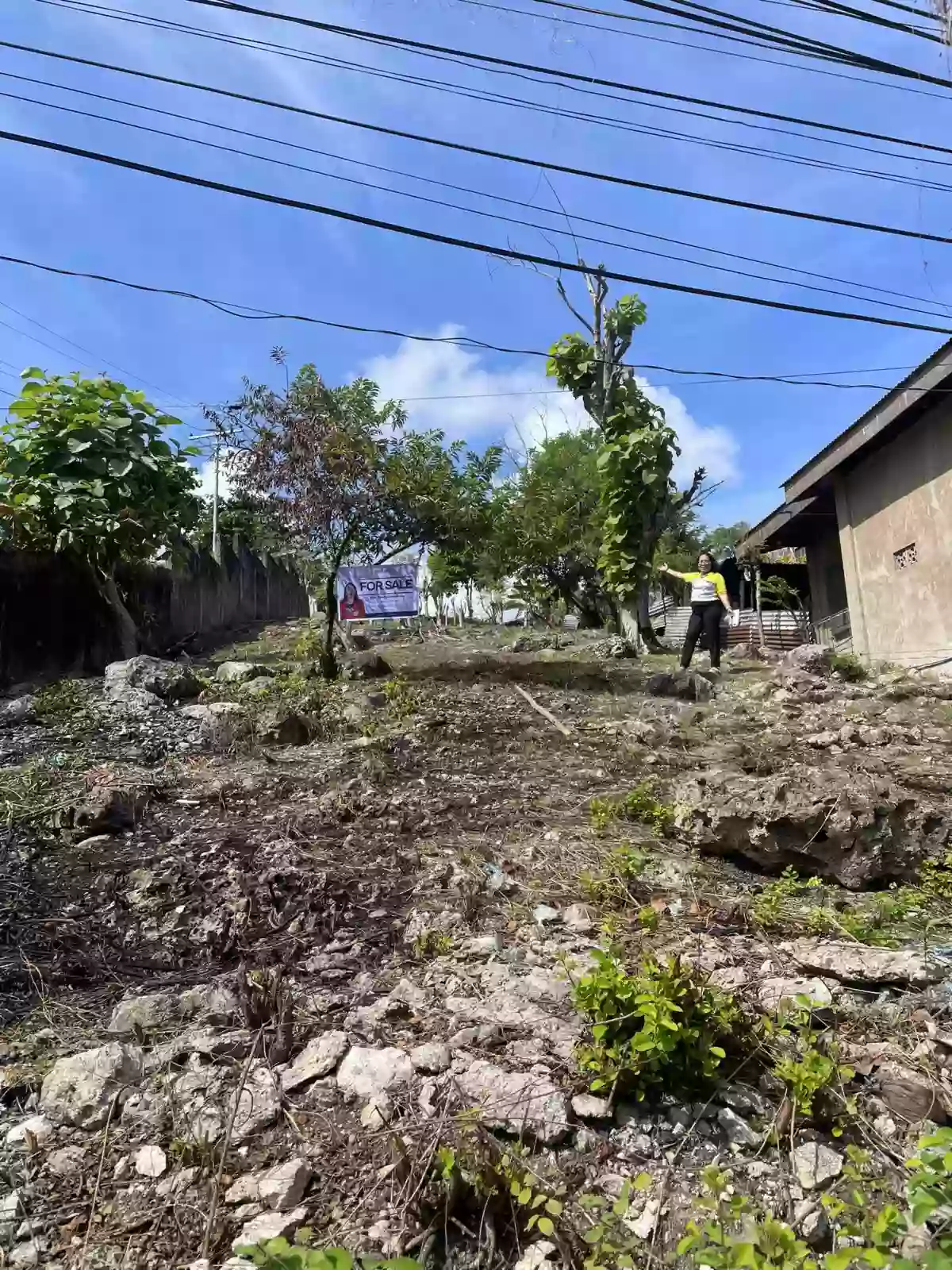 2,082 sqm Lot For Sale at Danao City — Residential Lot in Cebu — Photo 3