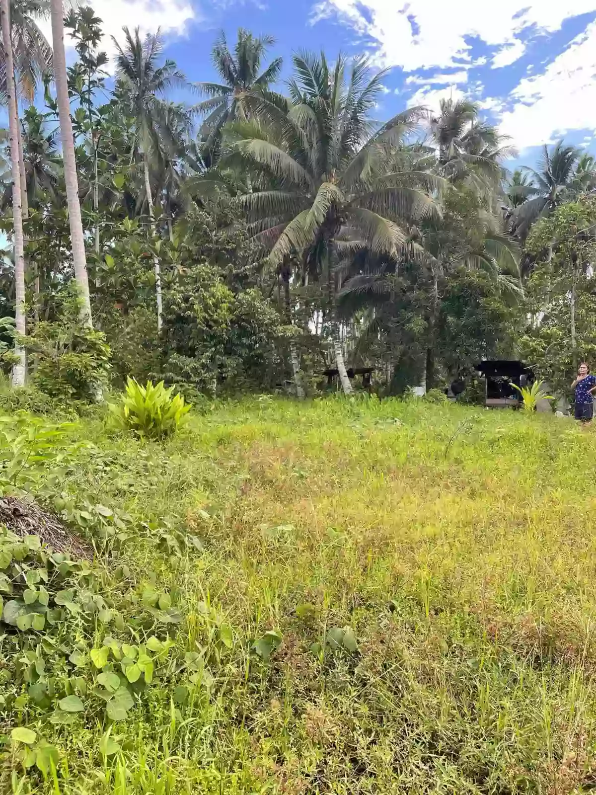 LOT FOR SALE AT TAGUM CITY — Residential Lot in Tagum, Davao del Norte, Philippines — Photo 3