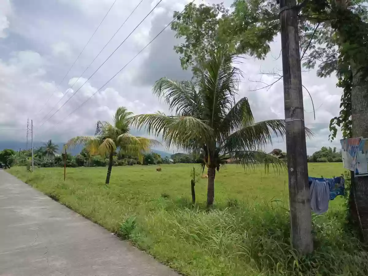 Residential Lot for Sale — Residential Lot in Pili, Camarines Sur, Philippines — Photo 4
