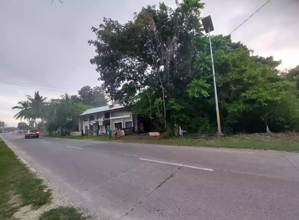 For Sale: Commercial/Residential Lot in Catarman Dauis, Bohol along the National Road — Residential Lot in Dauis, Bohol, Philippines — Photo 5