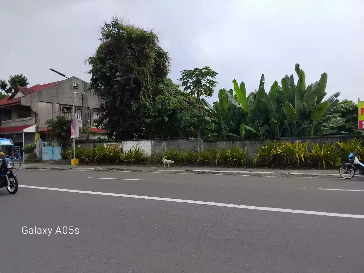 Commercial lot for sale — Commercial Lot in Negros Occidental, Philippines — Photo 2