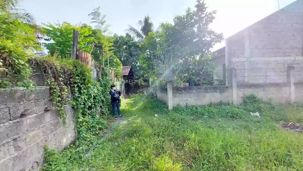 Lot for sale in Dumlog Talisay City — Residential Lot in Talisay, Cebu, Philippines — Photo 4