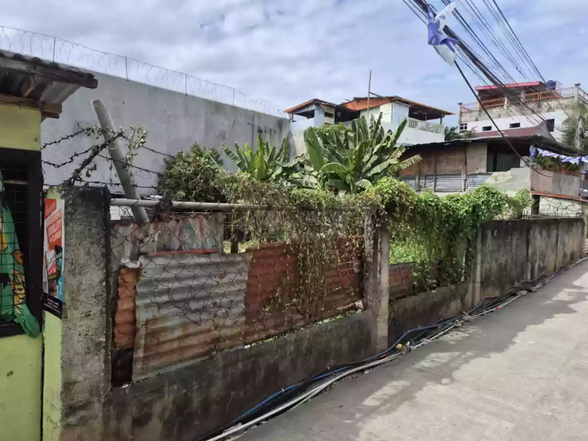 Your Future Space Starts Here - Vacant Lot For Sale — Residential Lot in Cebu, Philippines — Photo 3