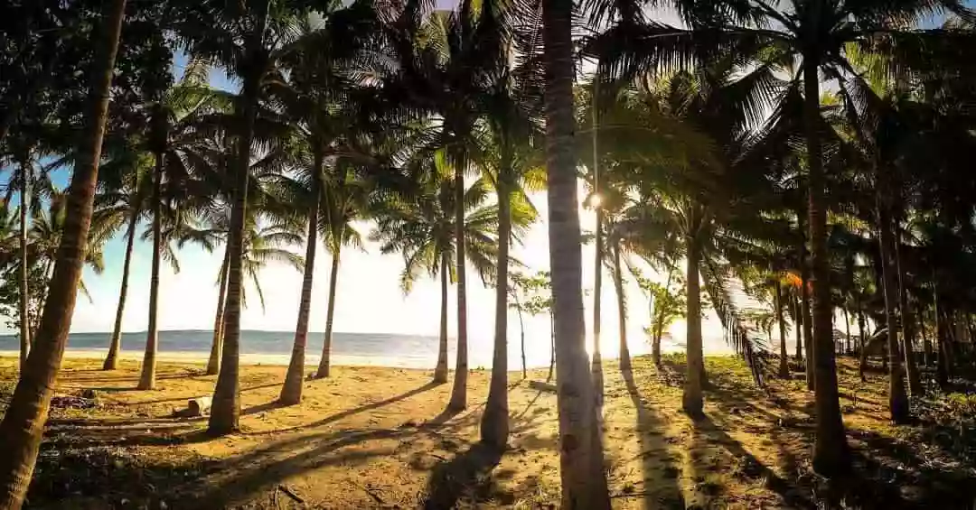 Beach Lot for Sale in Bantayan Island — Beach Lot — Photo 2
