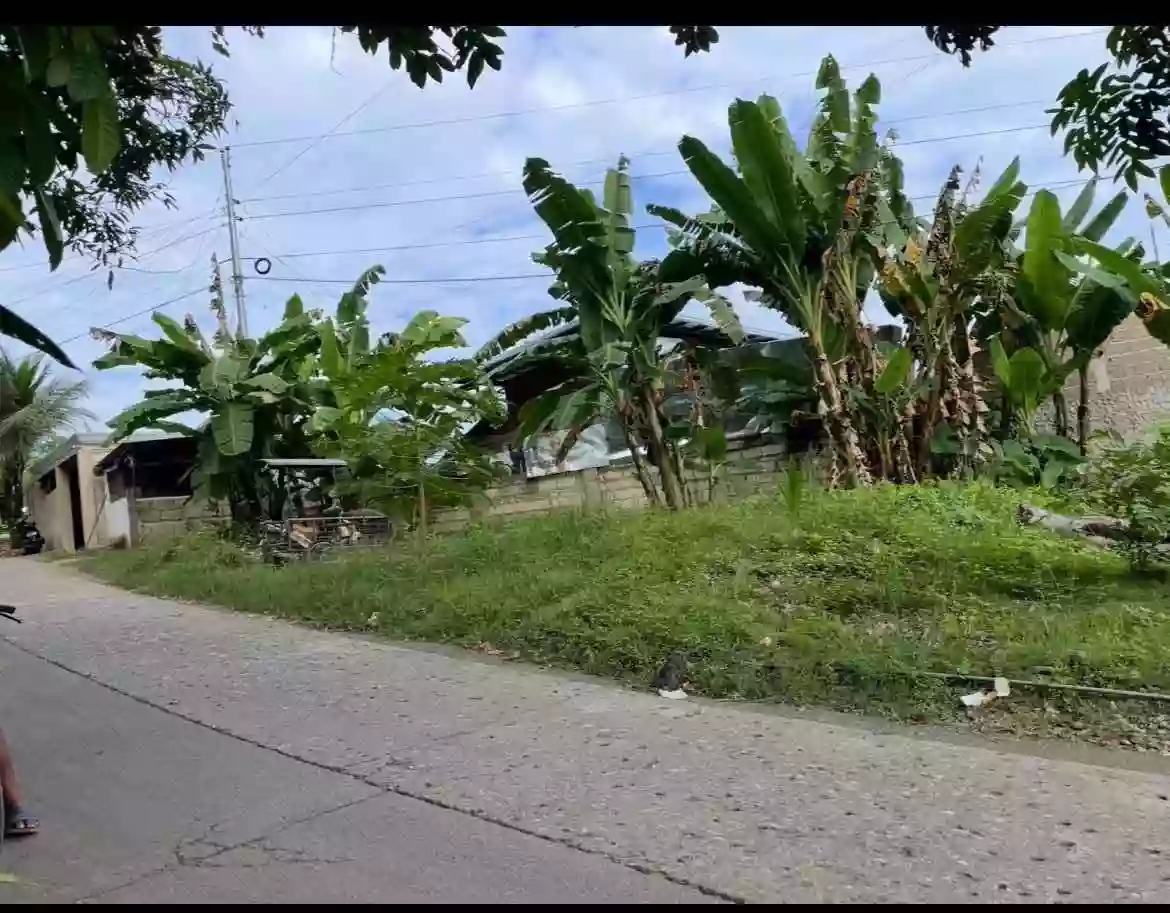 Commercial Lot for rent in Simangan — Commercial Lot in Danao, Cebu, Philippines — Photo 2
