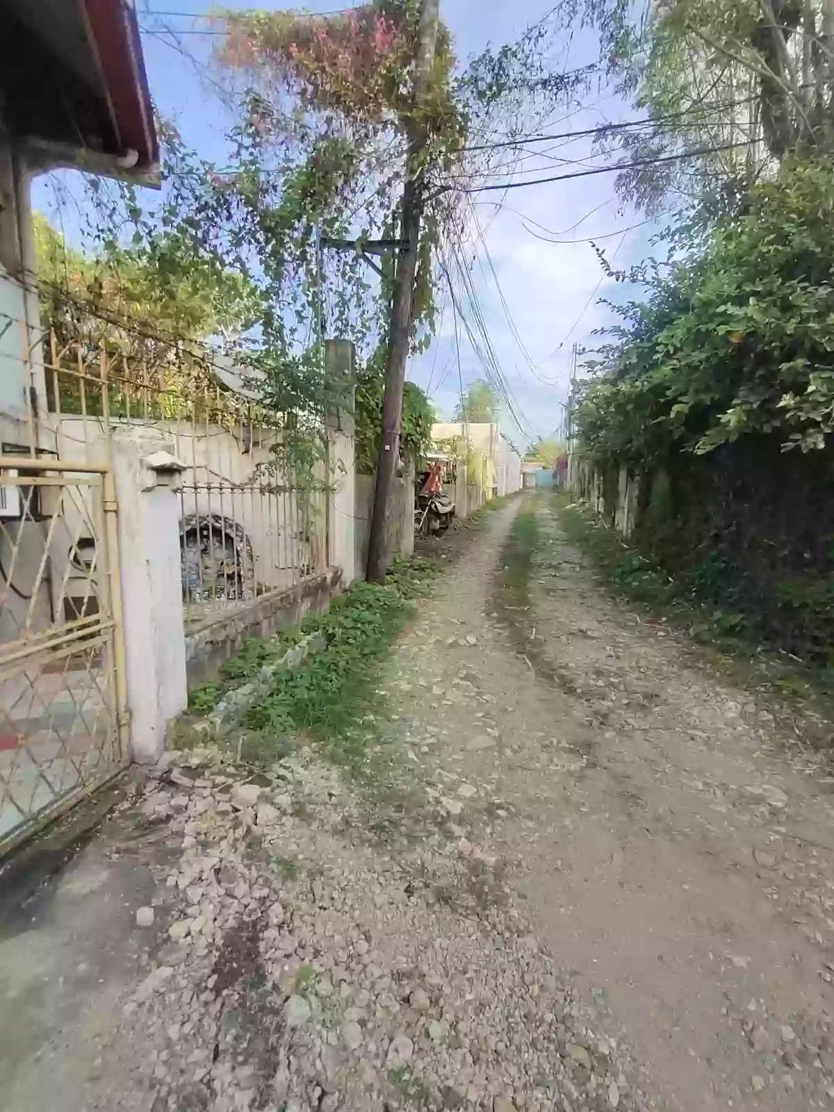 Vacant Lot — Residential Lot in M. L. Quezon Avenue, Mandaue City, Cebu — Photo 3