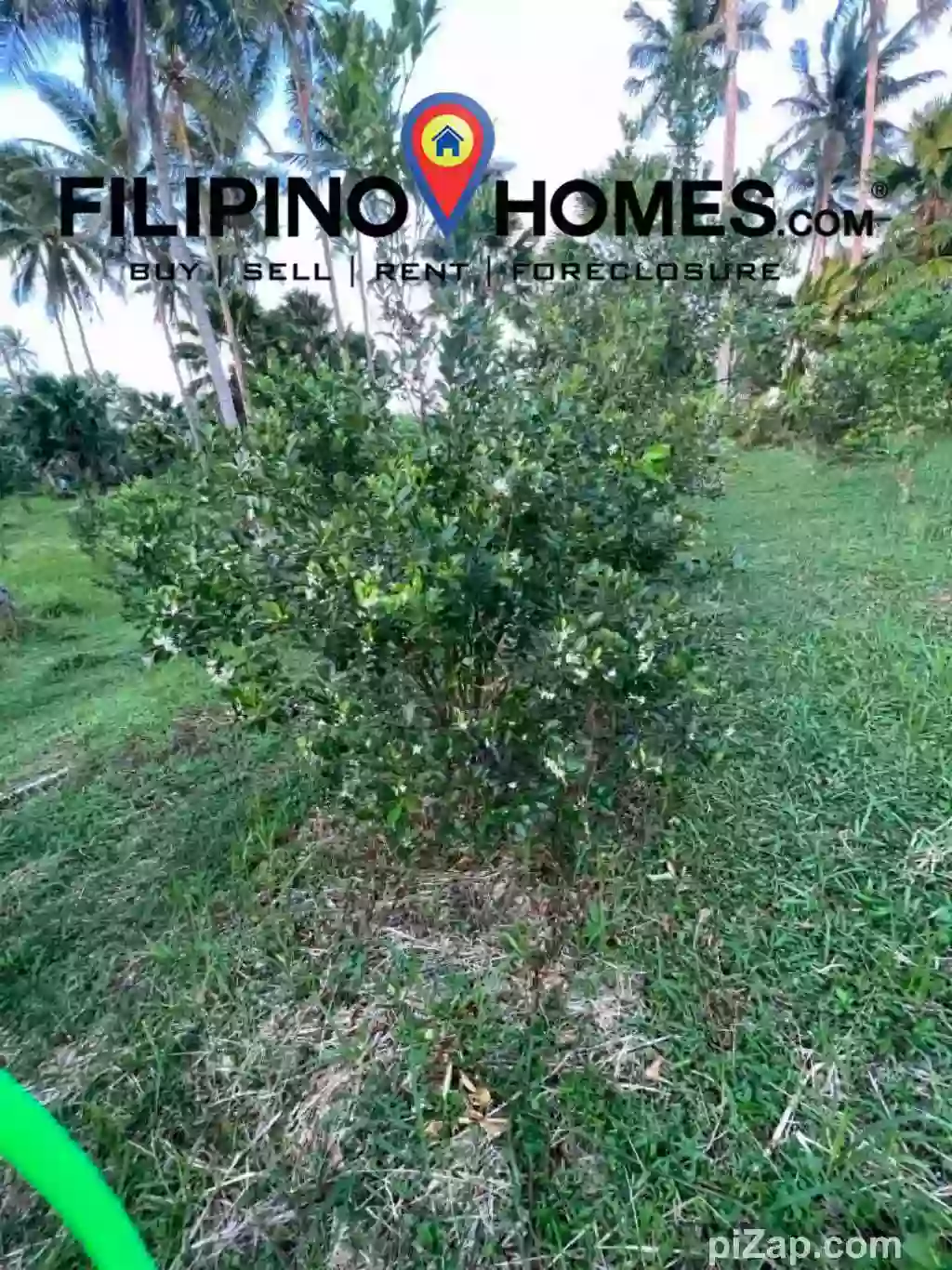 For Sale: Agricultural Lot in Legazpi City – Road Frontage, Easy Access — Agricultural Lot in Legazpi City, Albay, 4500 — Photo 6