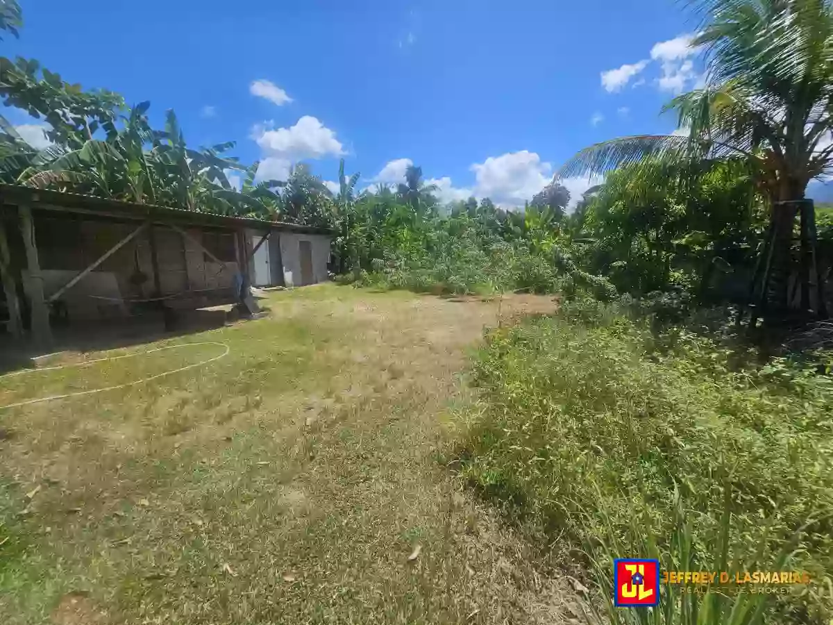 Rush Sale! 1,098sqm Lot in Calabnugan, Sibulan [available] — Residential Lot in Sibulan, Negros Oriental, Philippines — Photo 4