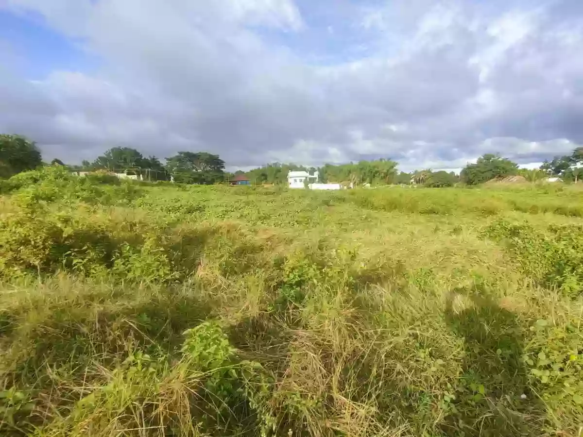 Lot for Sale in Balugo Sibulan — Residential Lot in Sibulan, Negros Oriental, Philippines — Photo 2