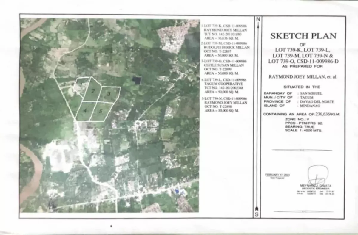 Open photo 11 of 11 — FOR SALE - PRIME 23.6 HECTARES. RARE OPPORTUNITY IN TAGUM CITY