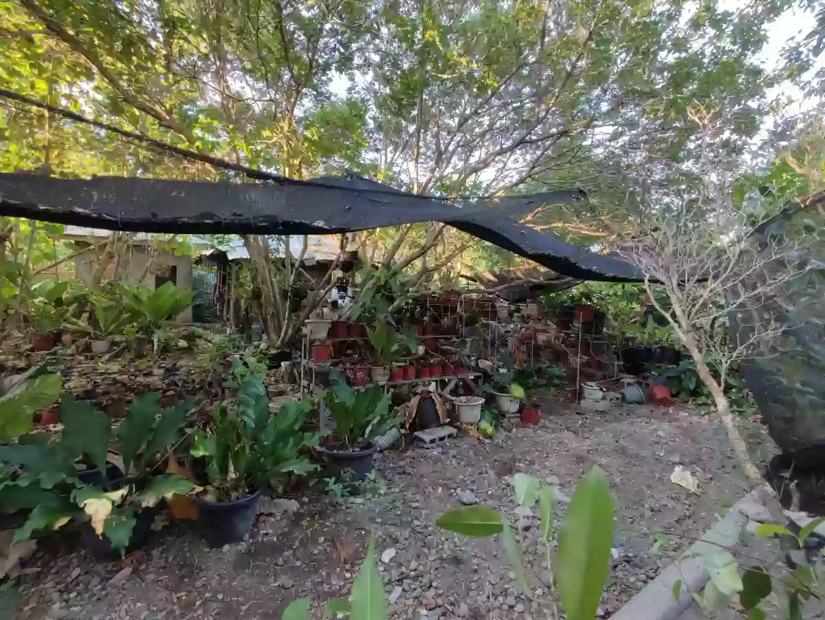Lot for Sale — Residential Lot in General Santos City, South Cotabato, Philippines — Photo 3