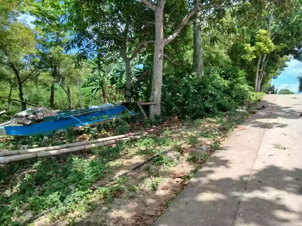 Residential Lot for sale — Residential Lot in San Francisco, Cebu, Philippines — Photo 2