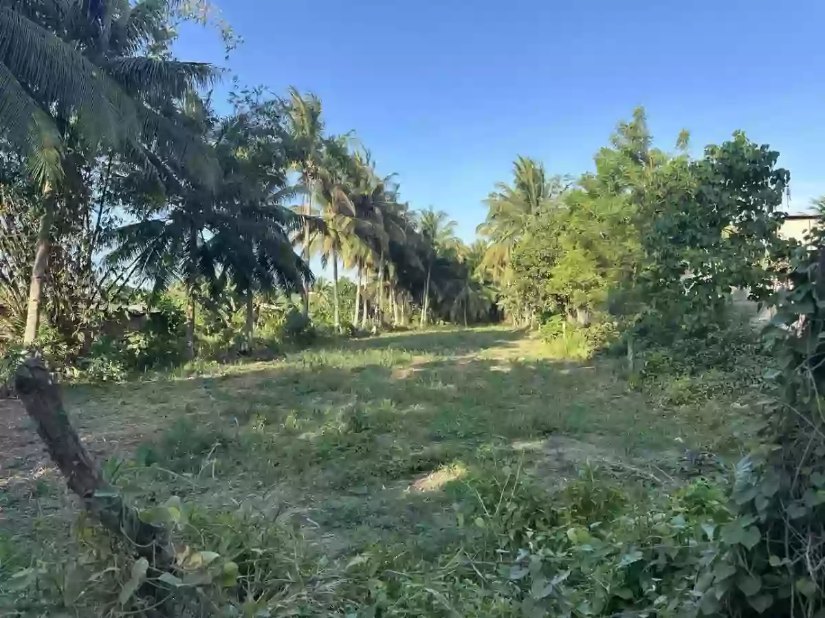 San Isidro Lot for Sale — Agricultural Lot in General Santos City, South Cotabato, Philippines — Photo 6