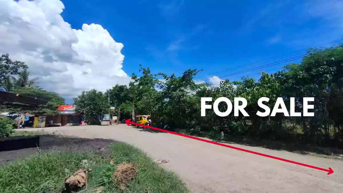 LOT FOR SALE in Mohon Talisay City, Cebu! — Residential Lot in Talisay, Cebu, Philippines — Photo 2