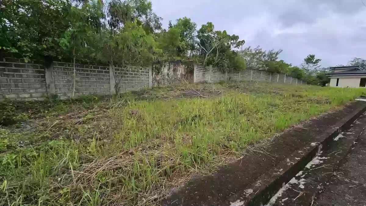 TITLED RESIDENTIAL LOT INSIDE SUMMERHILLS SUBDIVISION — Residential Lot in Cebu, Philippines — Photo 5