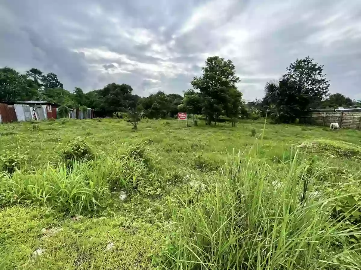 LOT ONLY FOR SALE @ San Vicente, Liloan — Residential Lot in Liloan, Cebu, Philippines — Photo 3