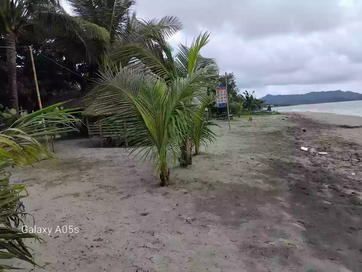 Beach Resort For Sale (Sipalay) — Beach Lot in Sipalay City, Negros Occidental, Philippines — Photo 7