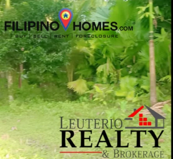 RUSH FOR SALE AGRILAND — Agricultural Lot in Buhi, Camarines Sur, Philippines — Photo 2