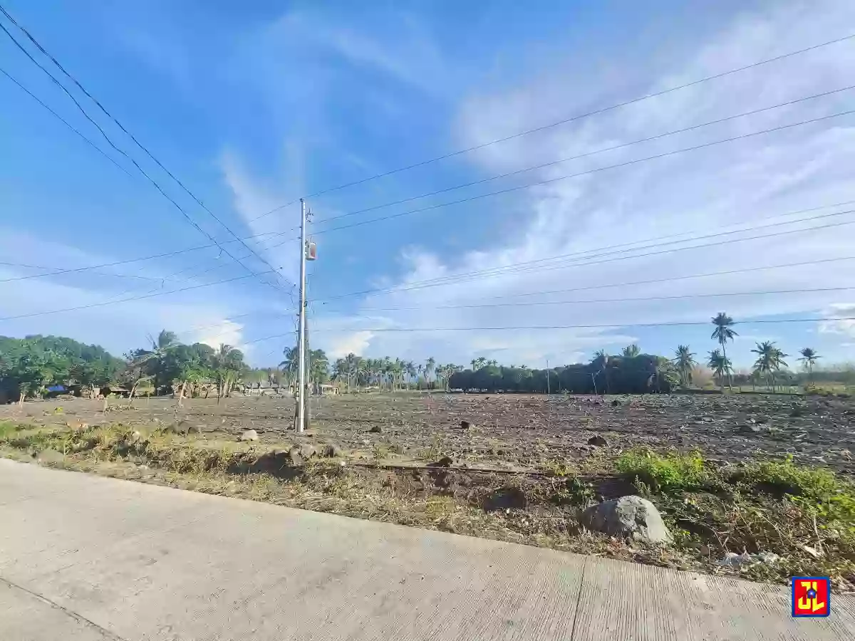 Amazing Lot for Sale in Maayongtubig, Dauin [available] — Agricultural Lot in Negros Oriental, Philippines — Photo 2